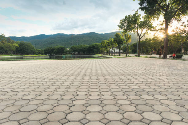 Best Cobblestone Driveway Pavers  in Lmar, DE